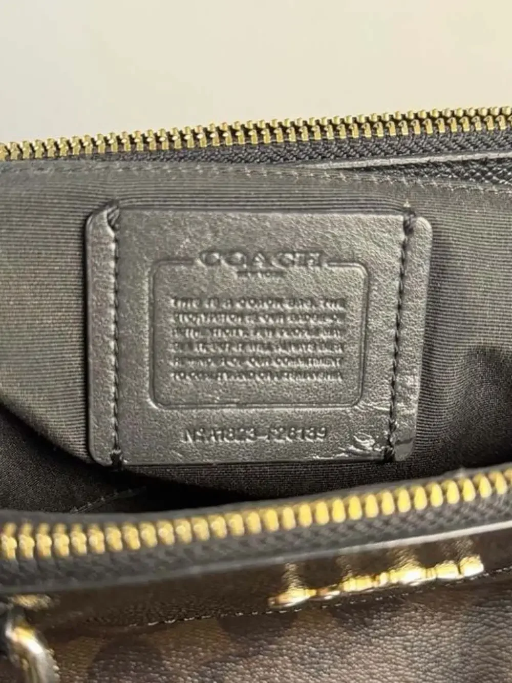 Coach christie carryall